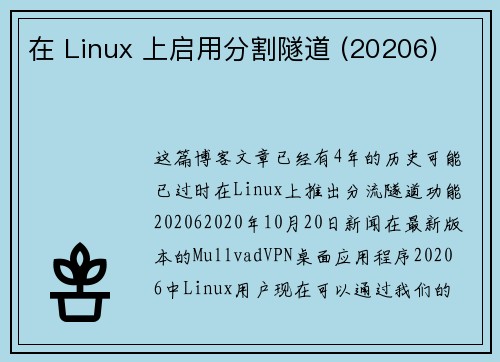 在 Linux 上启用分割隧道 (20206) 