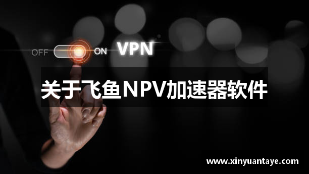 关于飞鱼NPV加速器软件